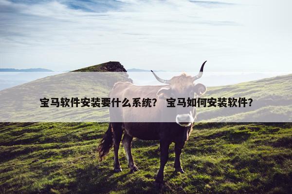 宝马软件安装要什么系统？ 宝马如何安装软件？
