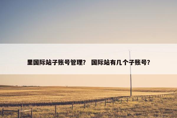 里国际站子账号管理？ 国际站有几个子账号？