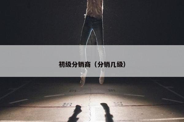 初级分销商（分销几级）
