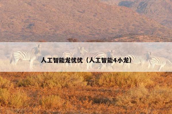 人工智能龙优优（人工智能4小龙）