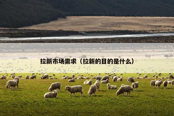 拉新市场需求（拉新的目的是什么）