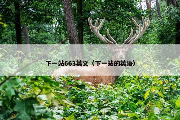 下一站663英文（下一站的英语）