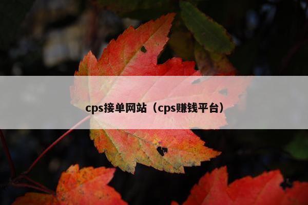 cps接单网站（cps赚钱平台）