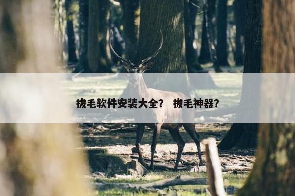 拔毛软件安装大全？ 拔毛神器？