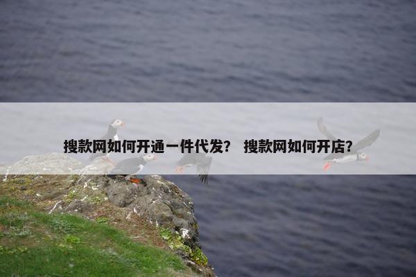 搜款网如何开通一件代发？ 搜款网如何开店？