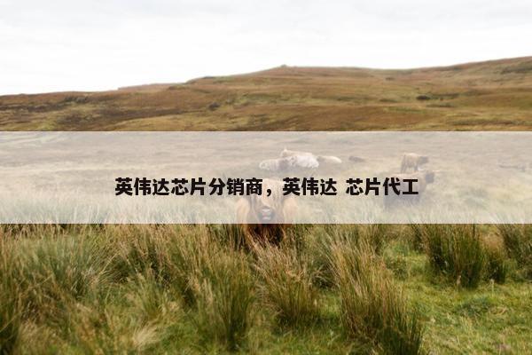 英伟达芯片分销商，英伟达 芯片代工