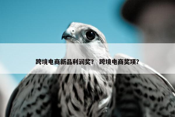 跨境电商新品利润奖？ 跨境电商奖项？