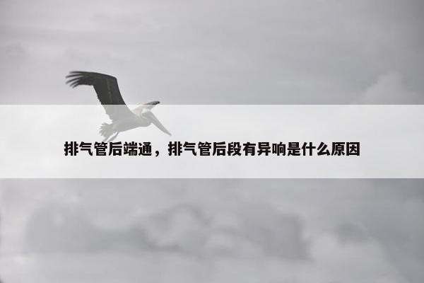 排气管后端通，排气管后段有异响是什么原因
