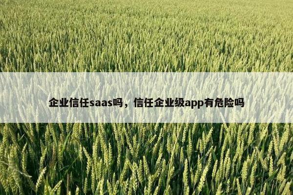 企业信任saas吗，信任企业级app有危险吗