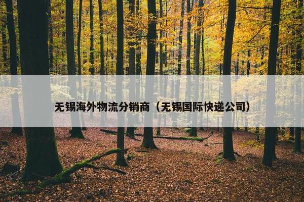 无锡海外物流分销商（无锡国际快递公司）