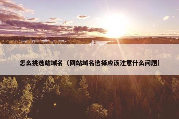怎么挑选站域名（网站域名选择应该注意什么问题）