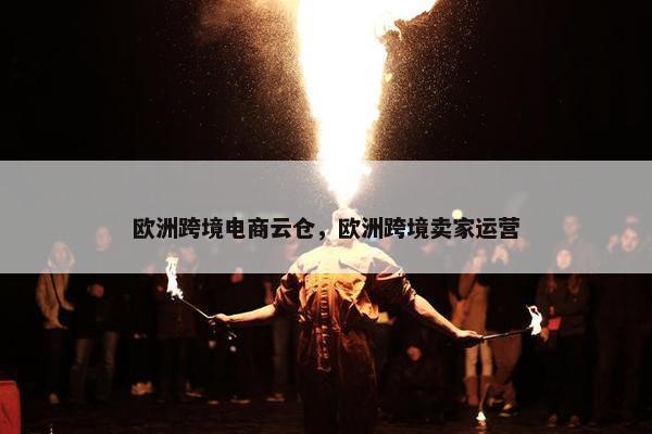 欧洲跨境电商云仓，欧洲跨境卖家运营