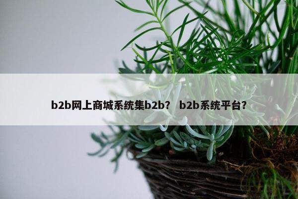 b2b网上商城系统集b2b？ b2b系统平台？