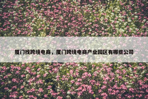 厦门找跨境电商，厦门跨境电商产业园区有哪些公司