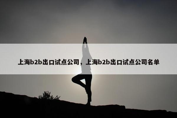 上海b2b出口试点公司，上海b2b出口试点公司名单