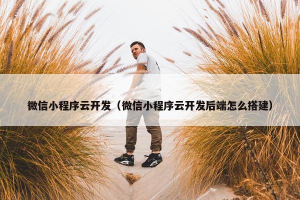 微信小程序云开发（微信小程序云开发后端怎么搭建）