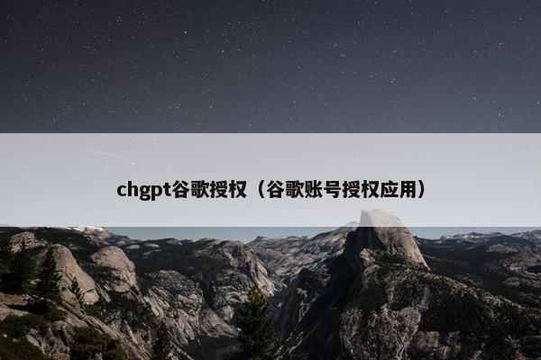 chgpt谷歌授权（谷歌账号授权应用）