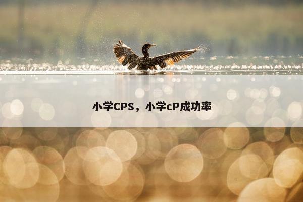 小学CPS，小学cP成功率