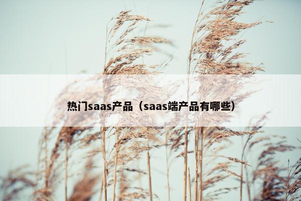 热门saas产品（saas端产品有哪些）