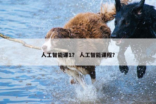 人工智能课1？ 人工智能课程？
