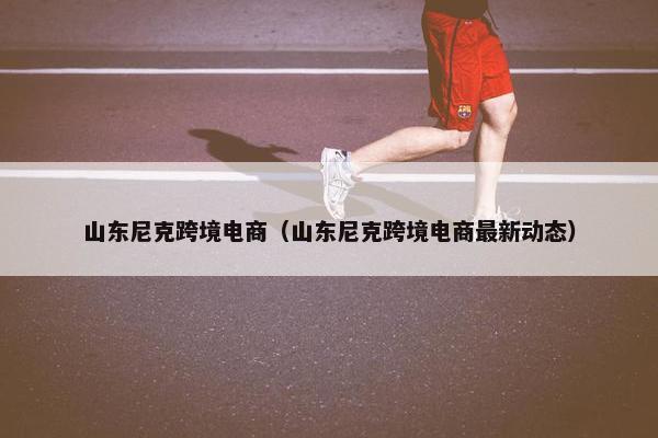 山东尼克跨境电商（山东尼克跨境电商最新动态）