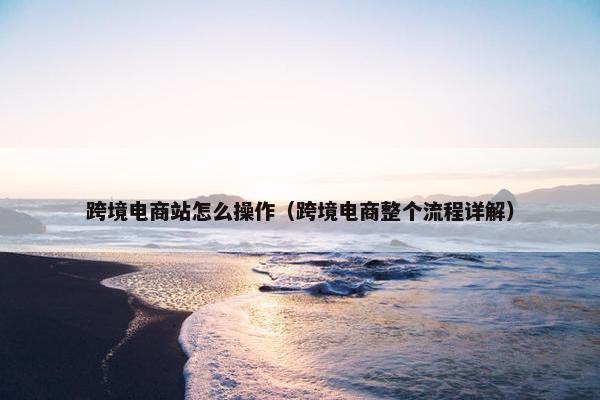 跨境电商站怎么操作（跨境电商整个流程详解）