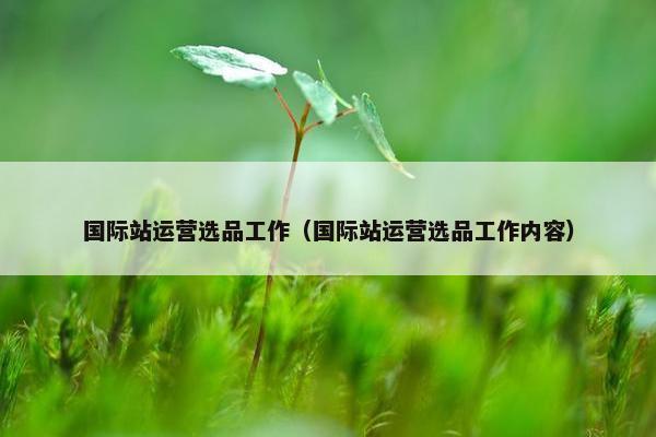 国际站运营选品工作（国际站运营选品工作内容）