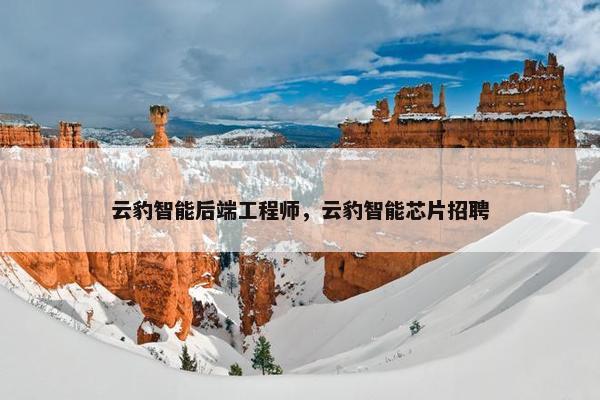 云豹智能后端工程师，云豹智能芯片招聘