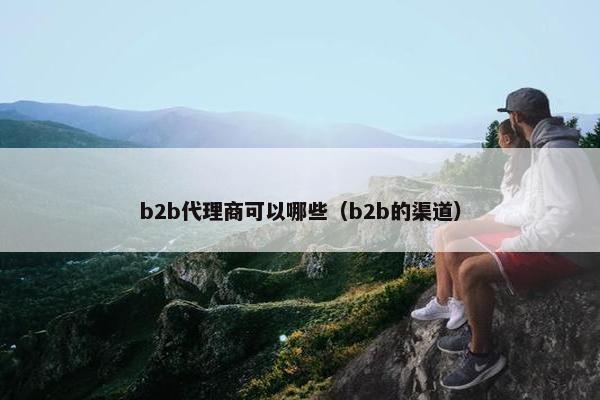 b2b代理商可以哪些（b2b的渠道）