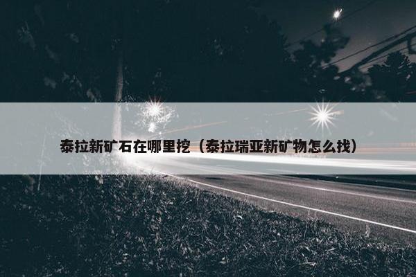 泰拉新矿石在哪里挖（泰拉瑞亚新矿物怎么找）