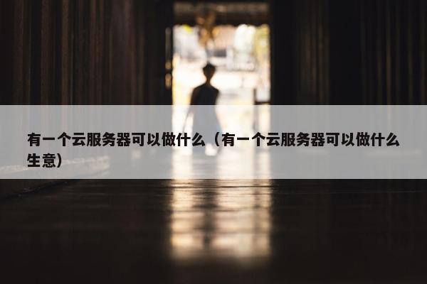 有一个云服务器可以做什么（有一个云服务器可以做什么生意）
