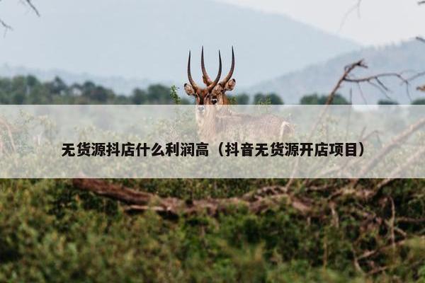 无货源抖店什么利润高（抖音无货源开店项目）