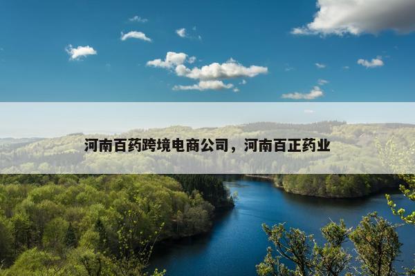 河南百药跨境电商公司，河南百正药业