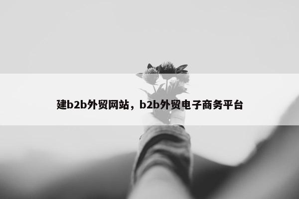建b2b外贸网站，b2b外贸电子商务平台