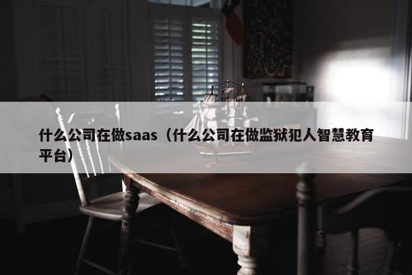 什么公司在做saas（什么公司在做监狱犯人智慧教育平台）