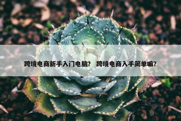 跨境电商新手入门电脑？ 跨境电商入手简单嘛？