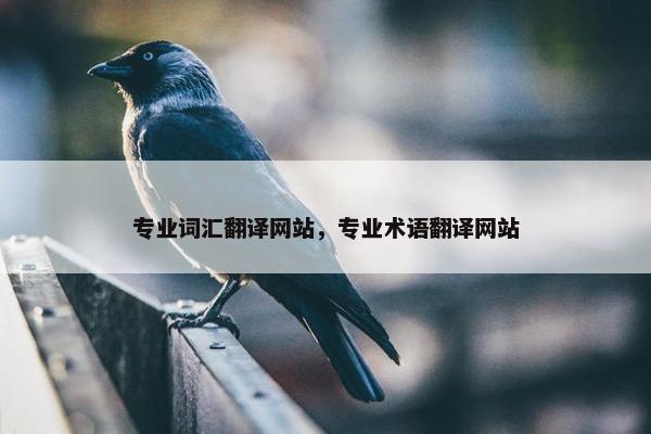 专业词汇翻译网站，专业术语翻译网站
