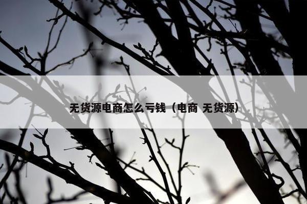 无货源电商怎么亏钱（电商 无货源）
