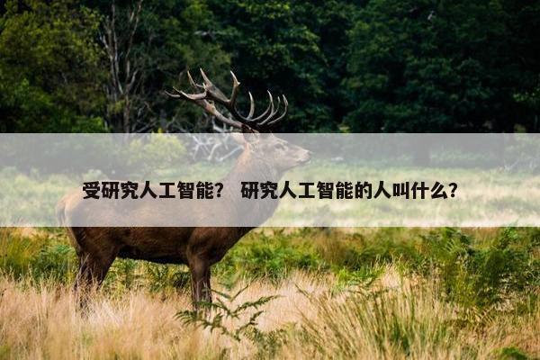 受研究人工智能？ 研究人工智能的人叫什么？
