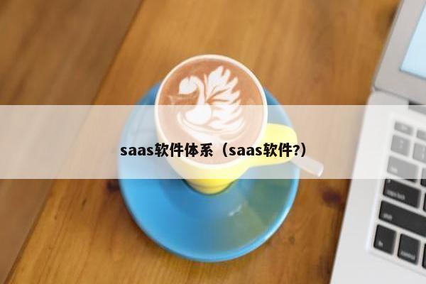 saas软件体系（saas软件?）