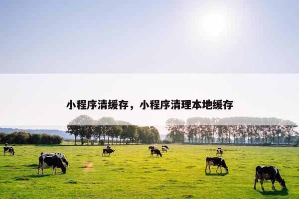 小程序清缓存，小程序清理本地缓存