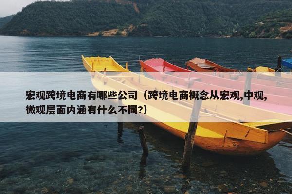 宏观跨境电商有哪些公司（跨境电商概念从宏观,中观,微观层面内涵有什么不同?）