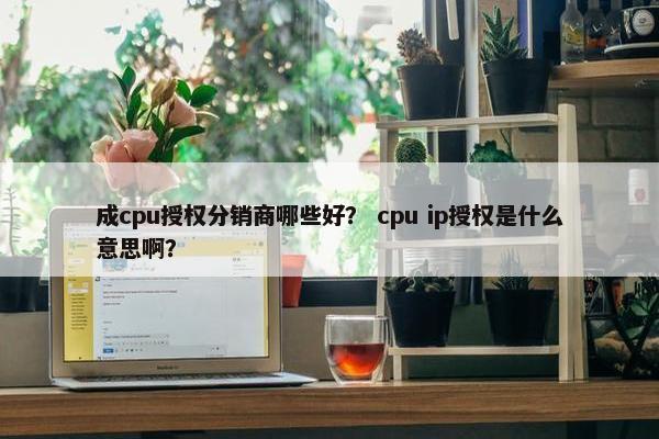 成cpu授权分销商哪些好？ cpu ip授权是什么意思啊？