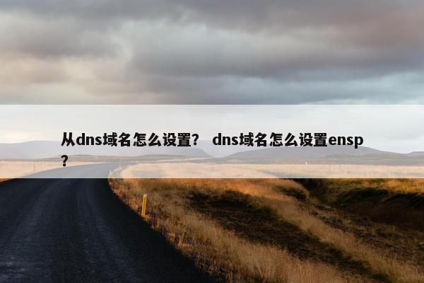 从dns域名怎么设置？ dns域名怎么设置ensp？