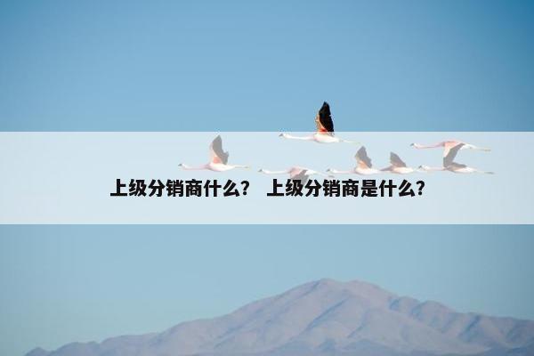 上级分销商什么？ 上级分销商是什么？