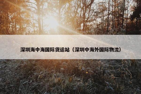 深圳海中海国际货运站（深圳中海外国际物流）