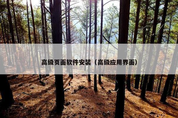 高级页面软件安装（高级应用界面）