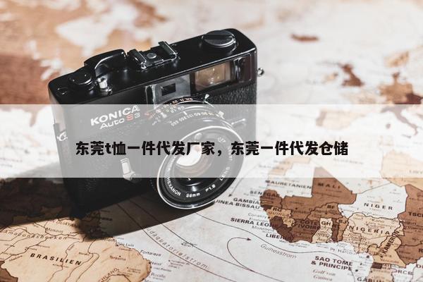 东莞t恤一件代发厂家，东莞一件代发仓储