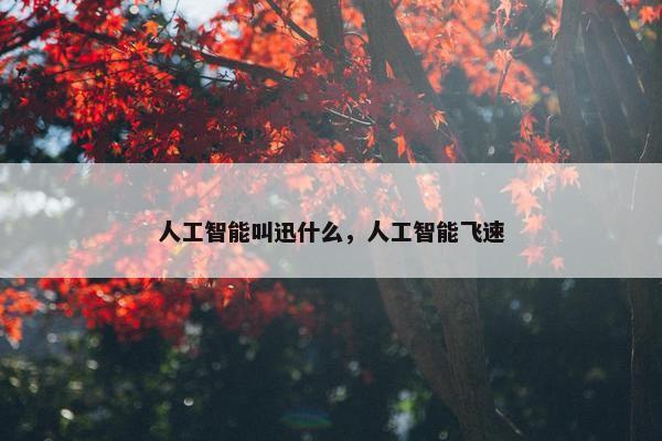 人工智能叫迅什么，人工智能飞速