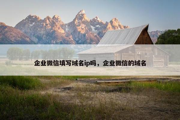 企业微信填写域名ip吗，企业微信的域名